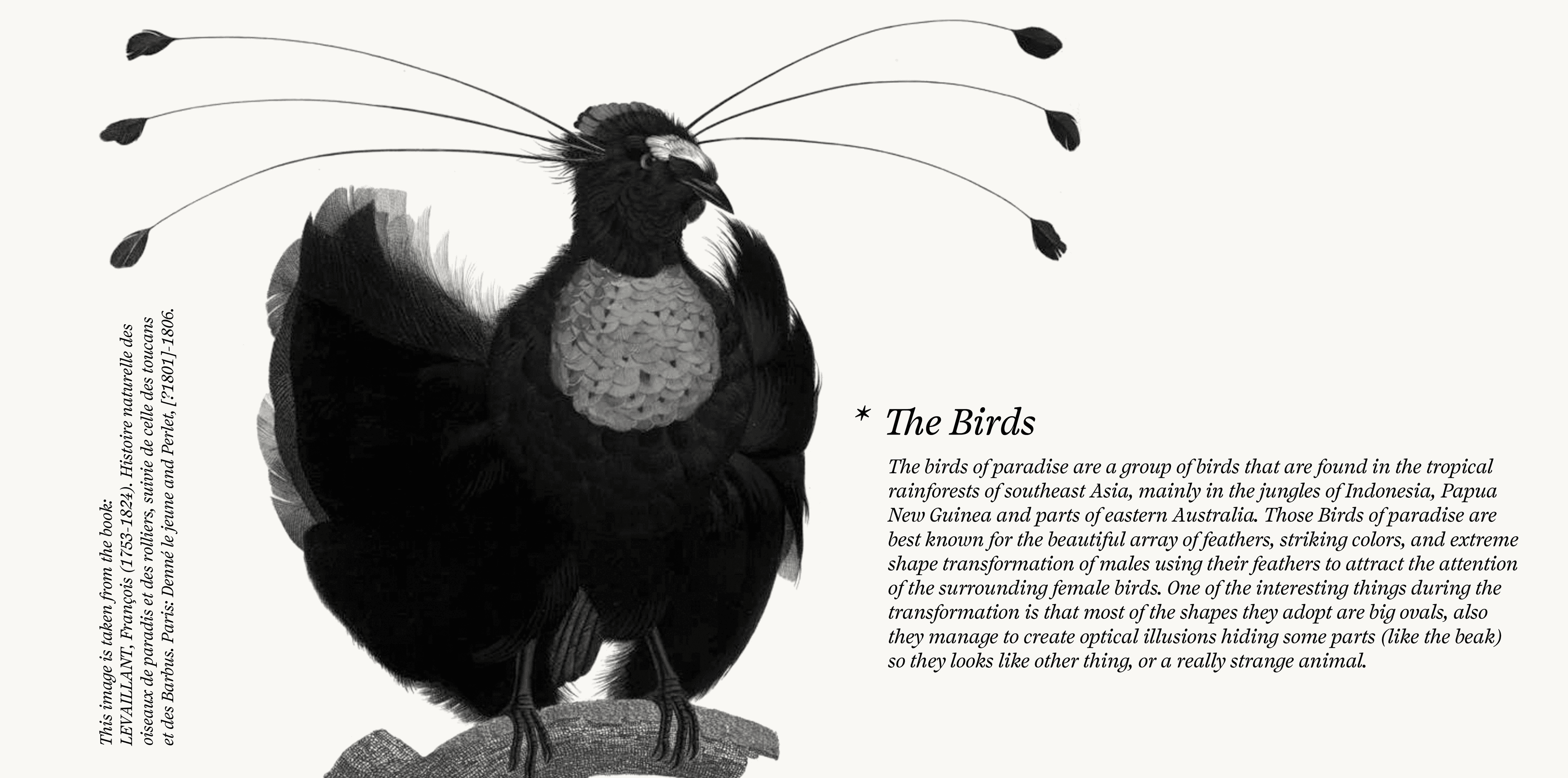 Image of Salvaje typeface project from Cristian Vargas