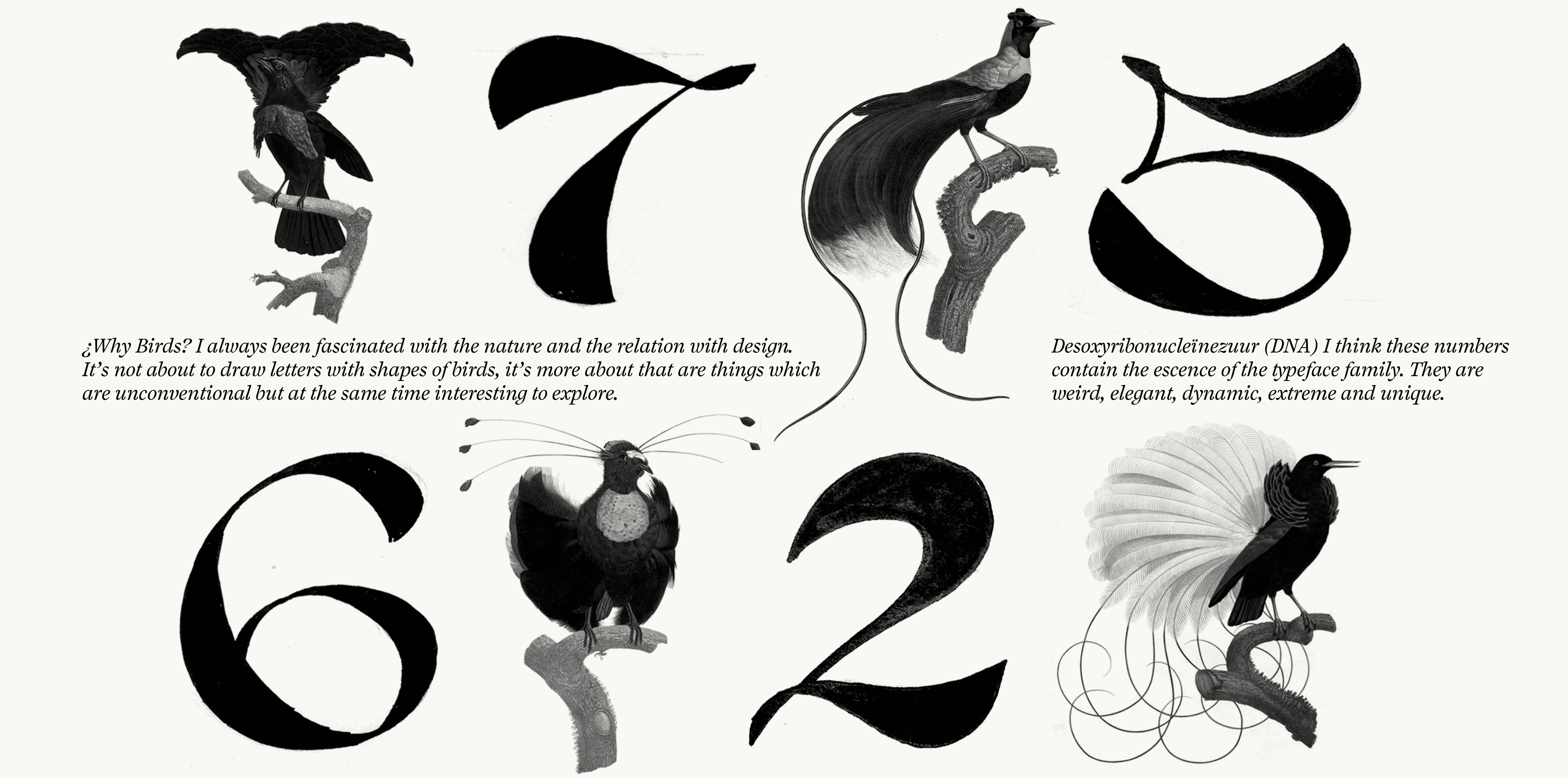 Image of Salvaje typeface project from Cristian Vargas