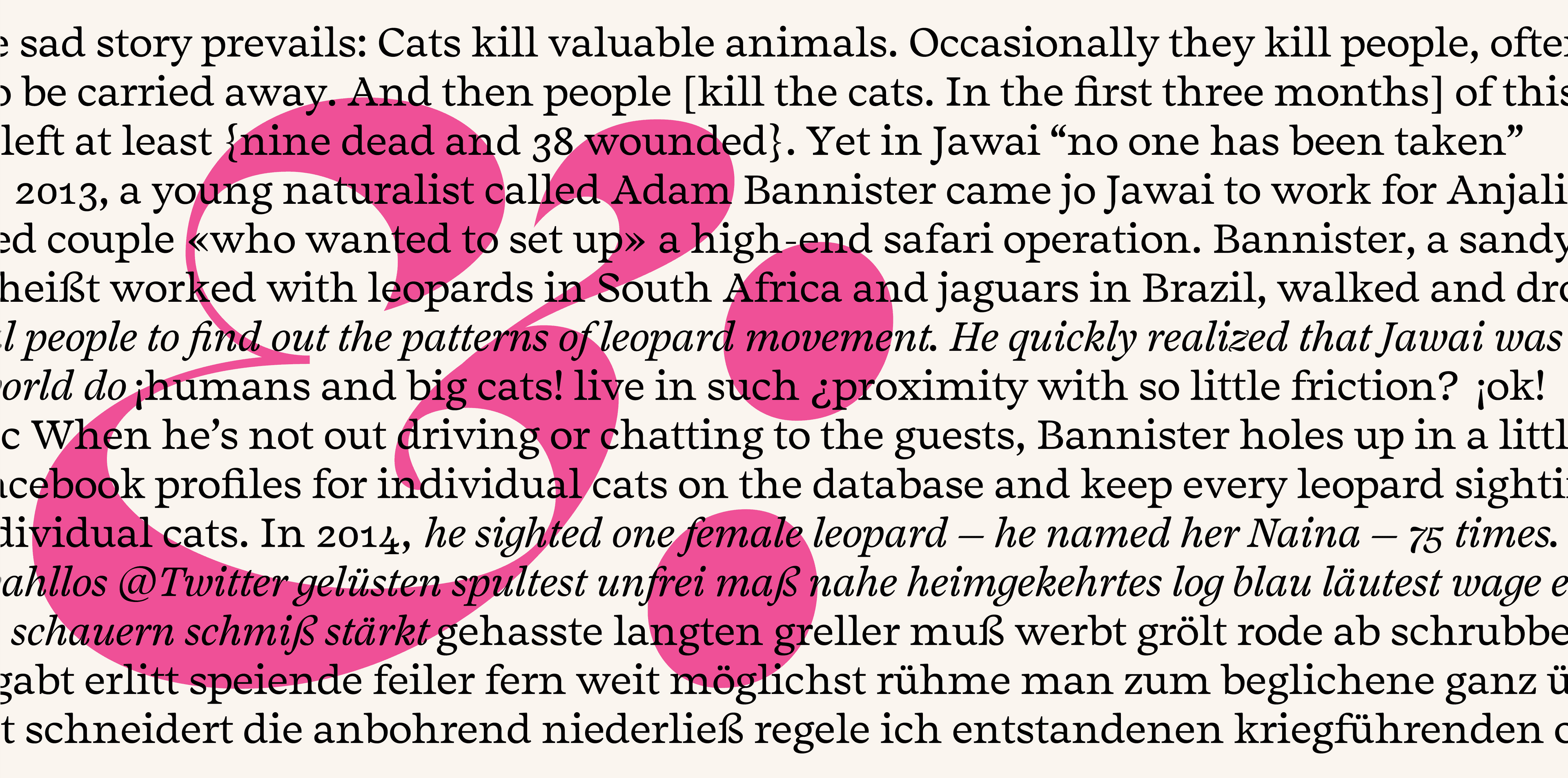 Image of Salvaje typeface project from Cristian Vargas