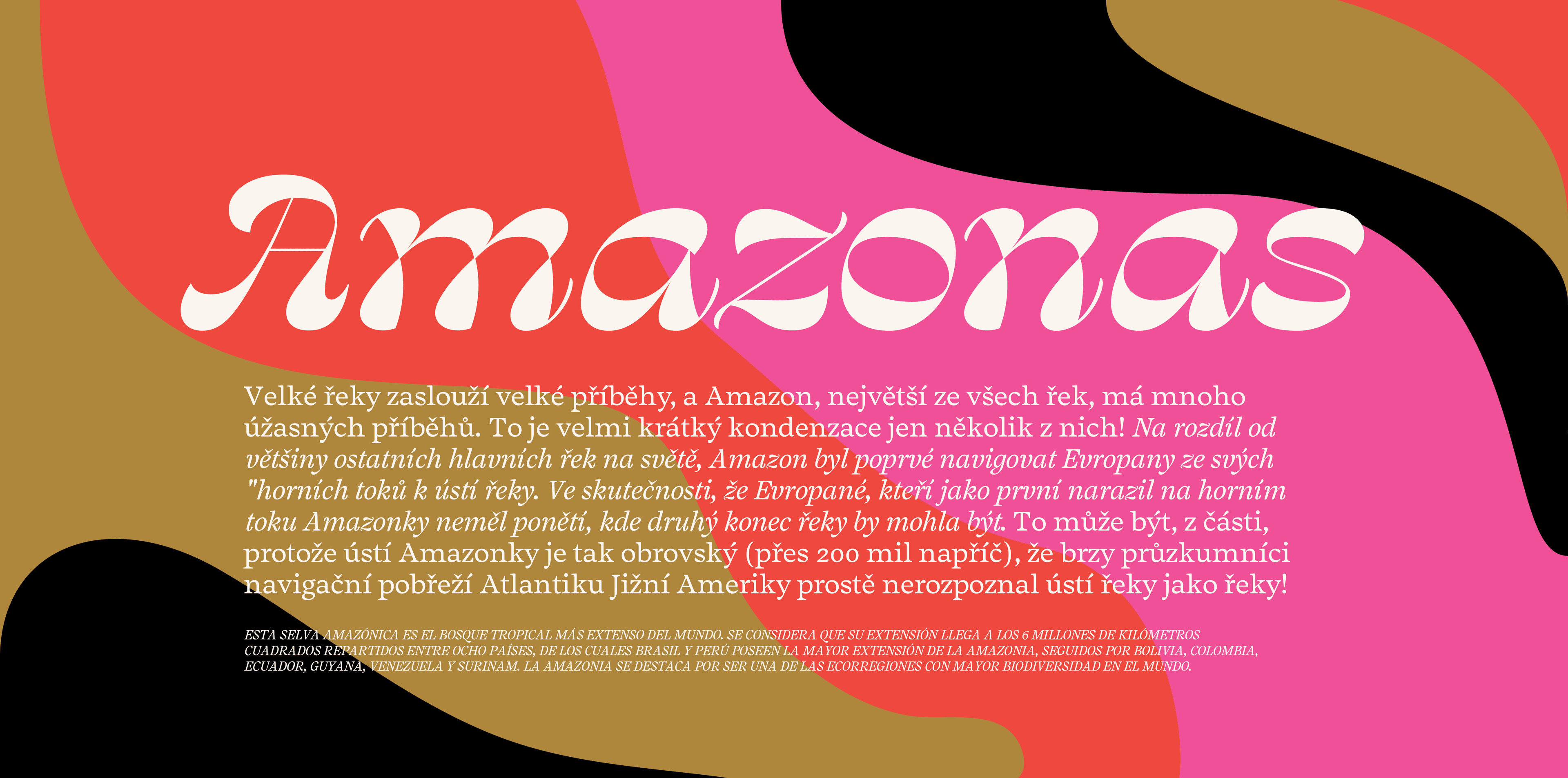 Image of Salvaje typeface project from Cristian Vargas