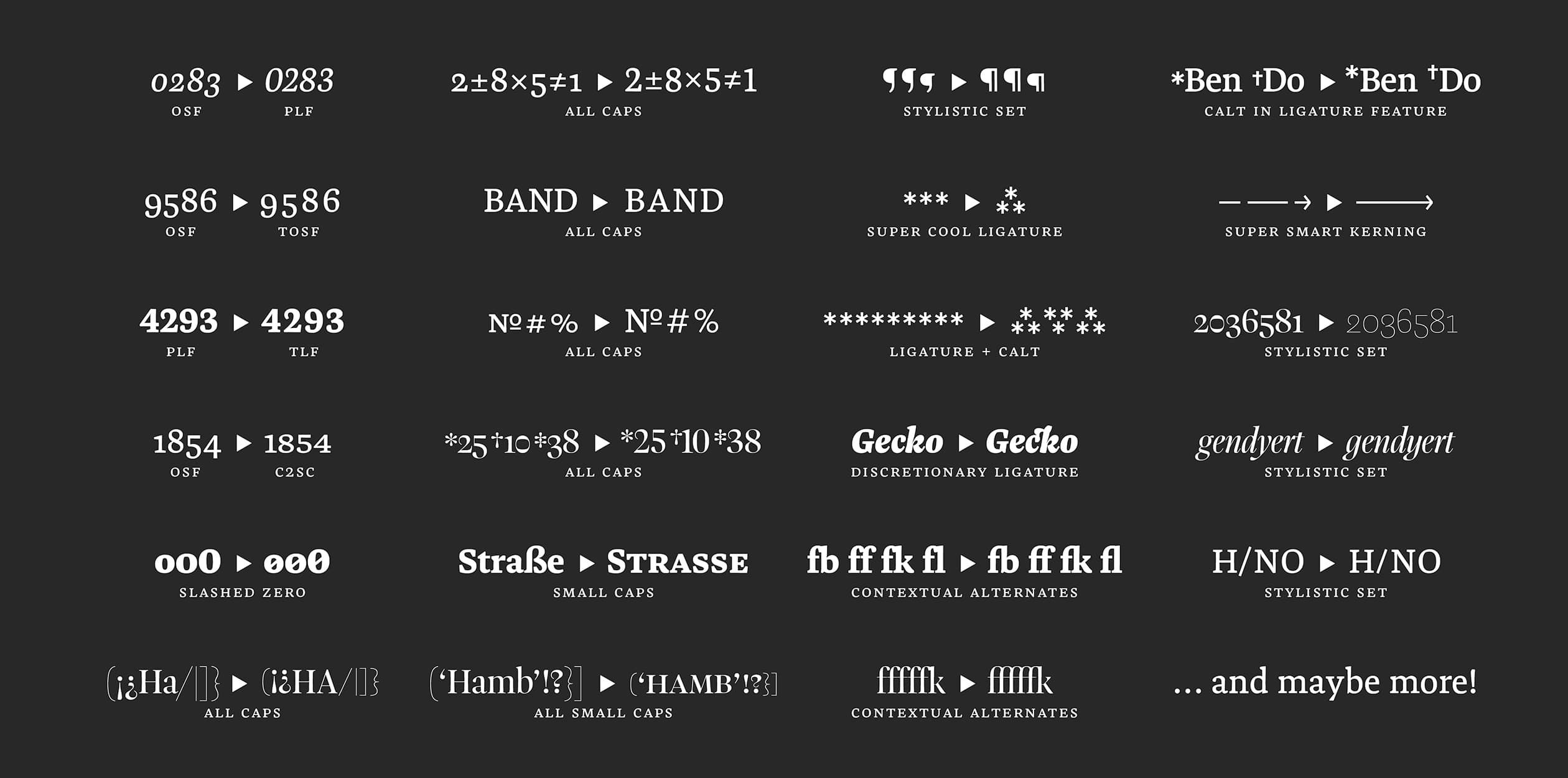 Image of Elma & Frederick typeface project from Philipp Beatrix Neumeyer