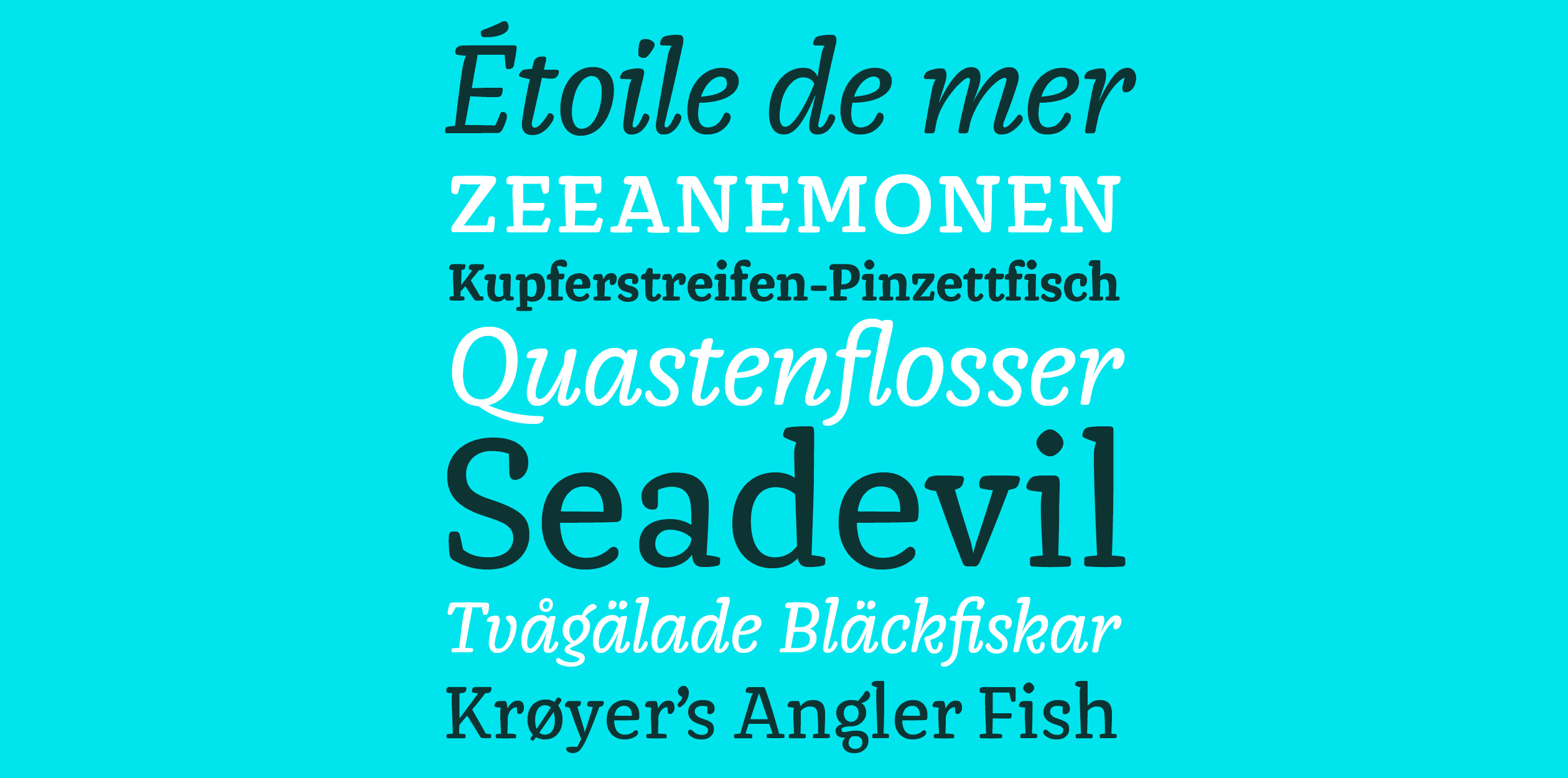 Image of Ligan typeface project from Tilmann Hielscher